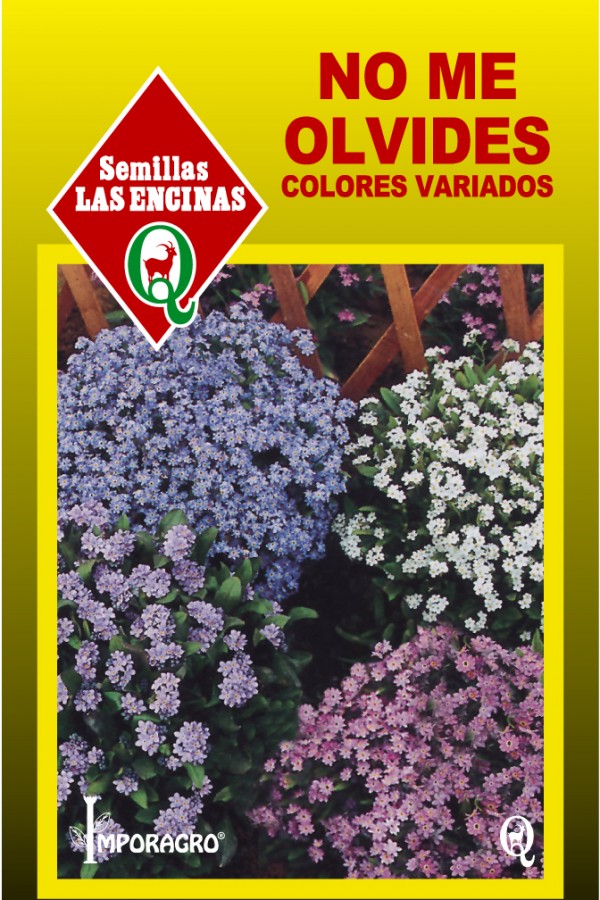 Semillas de Myosotis (No me olvides)