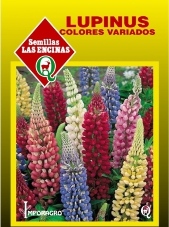 Semillas de Lupinus