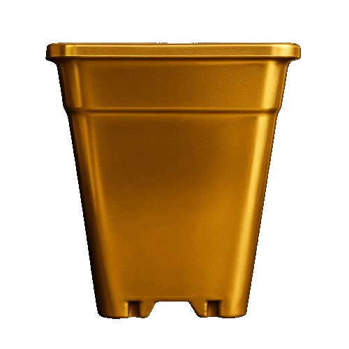 Macetero Rectangular 28x37cm Color Dorado