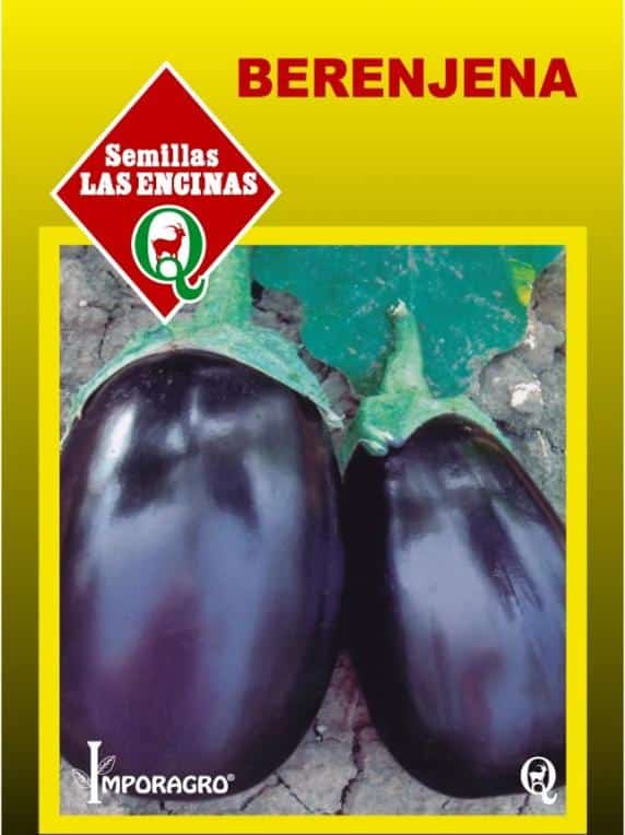 Semillas de Berenjena Morada