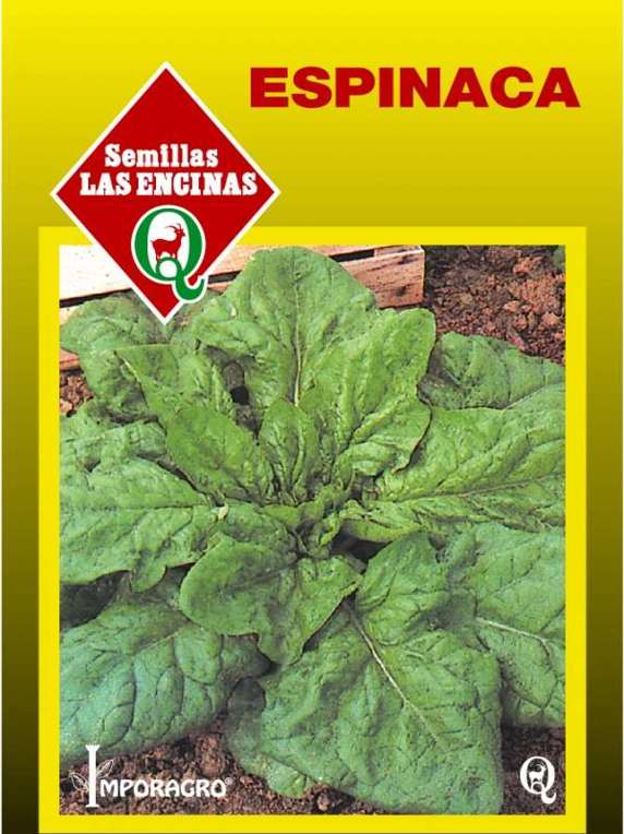 Semillas de Espinaca