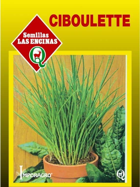 Semillas de Ciboulette