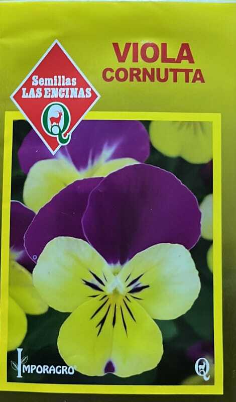 Semillas de Viola Cornuta
