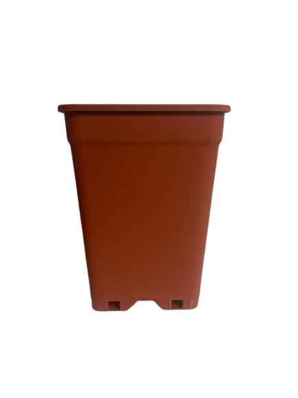 Macetero Rectangular 14x20cm Color Terracota: Elegancia Sostenible