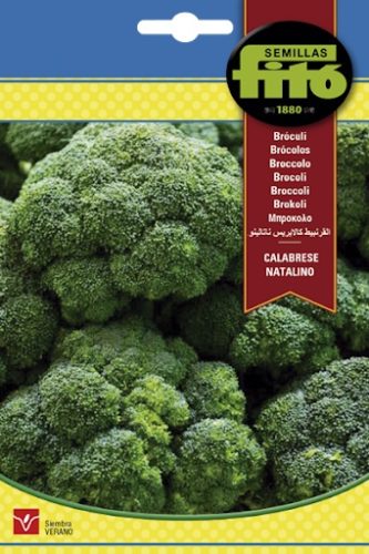 Semillas de Brocoli Calabrese 100 Grs