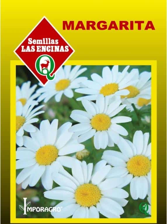 Semillas de Margarita o Manzanillón