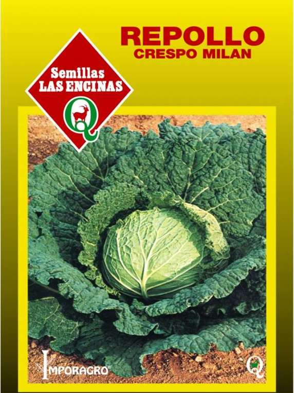 Semillas de Repollo Crespo Milán