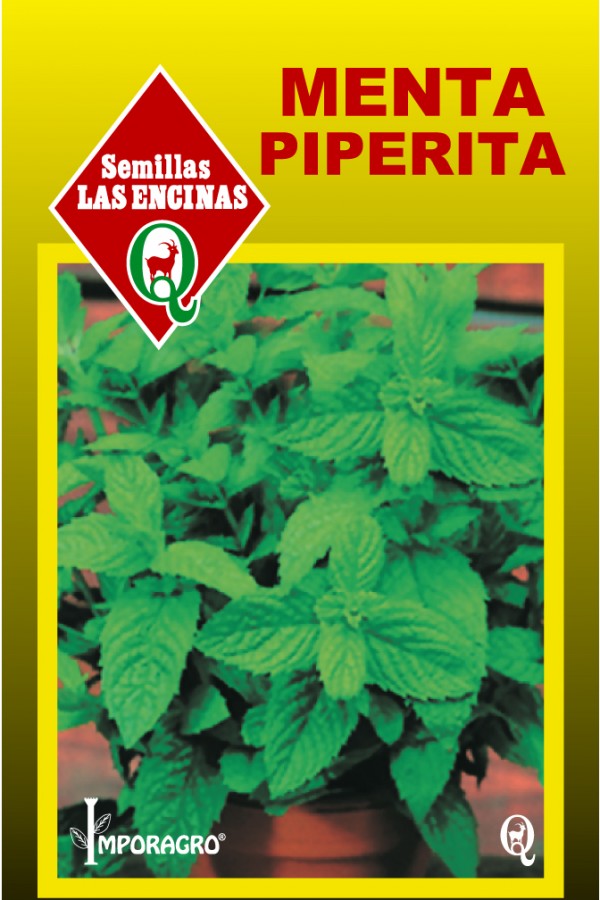 Semillas de Menta