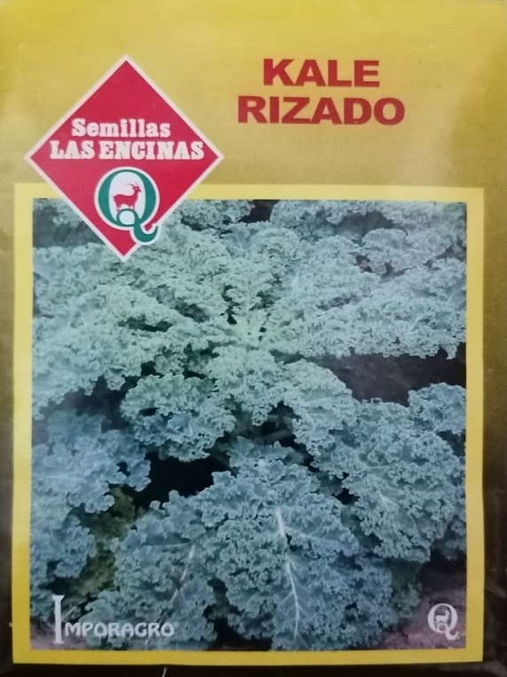 Semillas de Kale Rizado