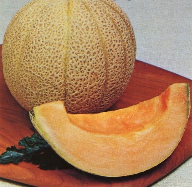 Semillas de Melón Cataloupe Topmark (Carne rosada) 100 Grs