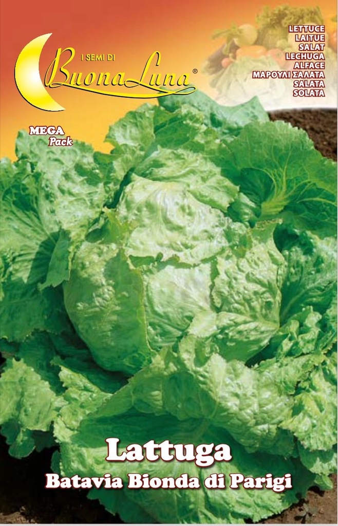Semillas De Lechuga Batavia Rubia De París
