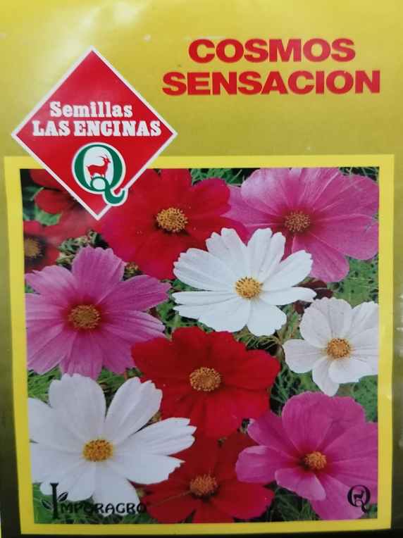 Semillas De Cosmos Sensación