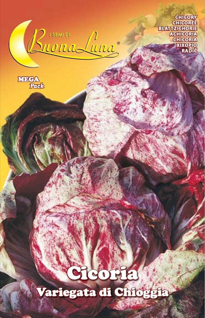 Semillas De Achicoria Variegada De Chioggia
