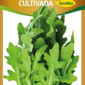 Semillas de Rùcula Cultivada