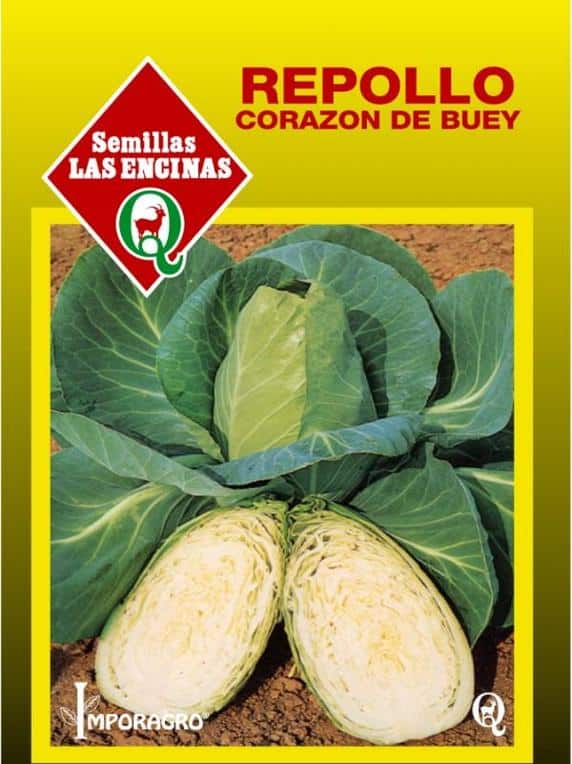 Semillas de Repollo Blanco Corazón de Buey Grande 100 Grs