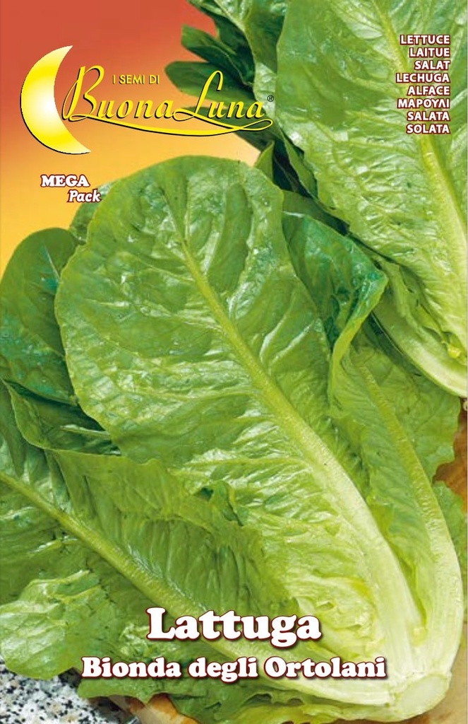 Semillas De Lechuga Rubia De Los Agricultores