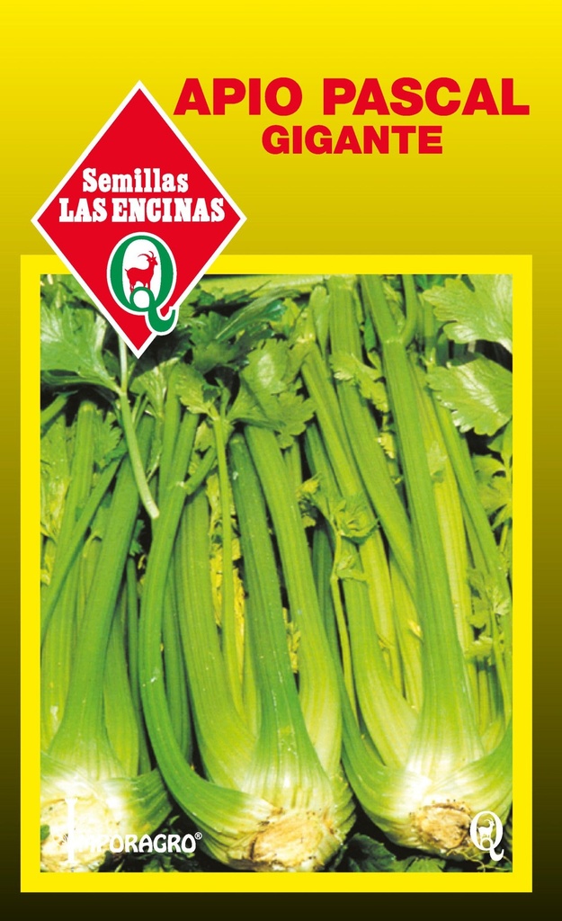 Semillas de Apio Pascal Gigante 100 Grs