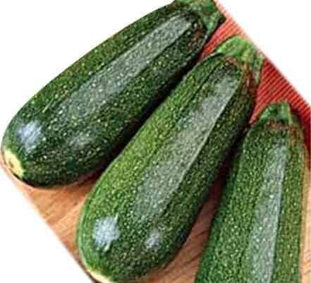 Semillas de Zapallito Italiano Black Zucchini 500 Grs