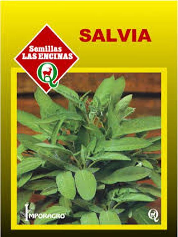 Semillas de Salvia