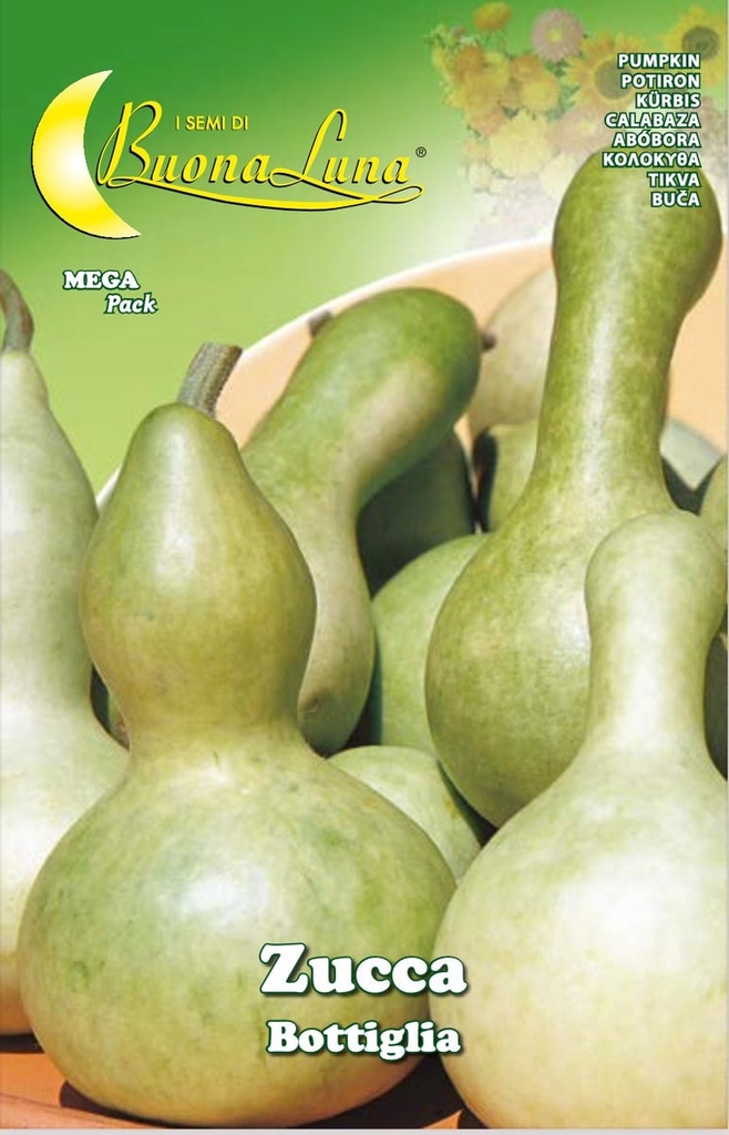Semillas De Calabaza De Botella