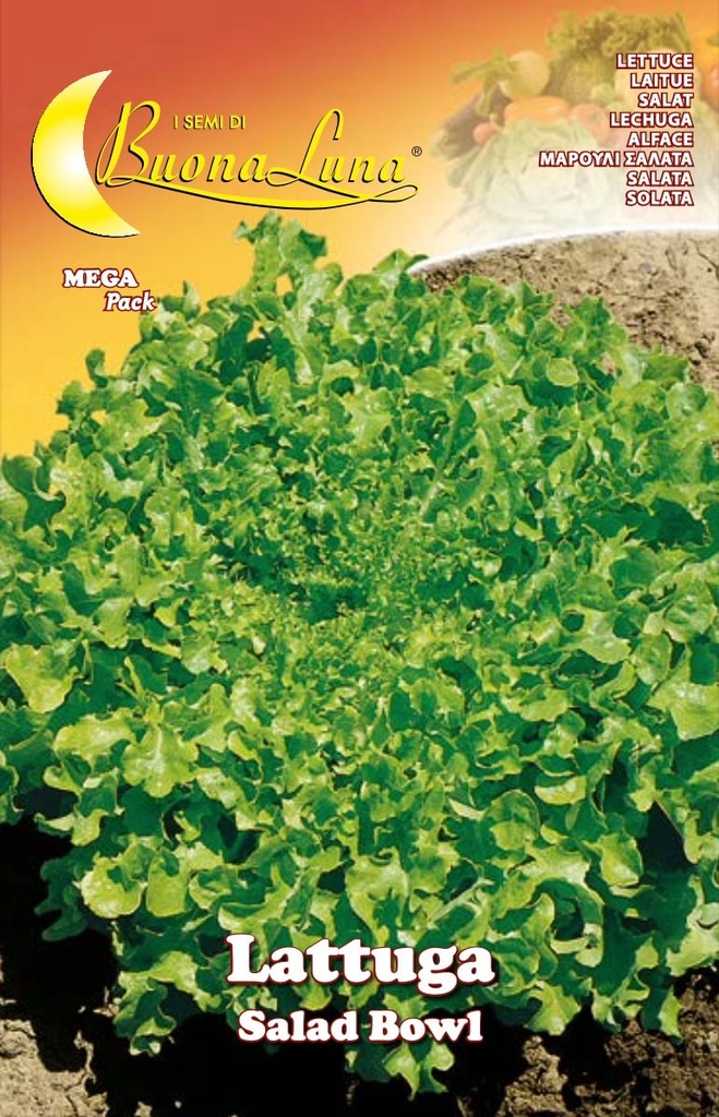 Semillas De Lechuga Salad Bowl