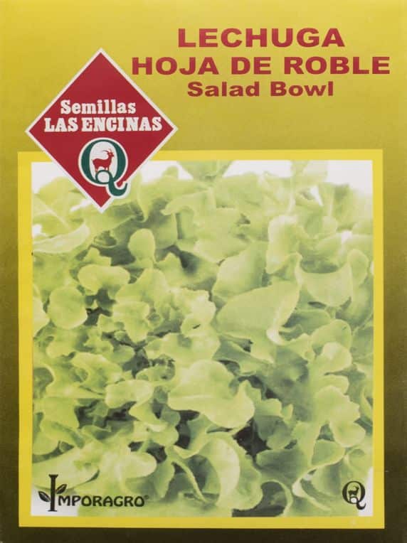 Semillas de Lechuga Hoja De Roble Salad Bowl