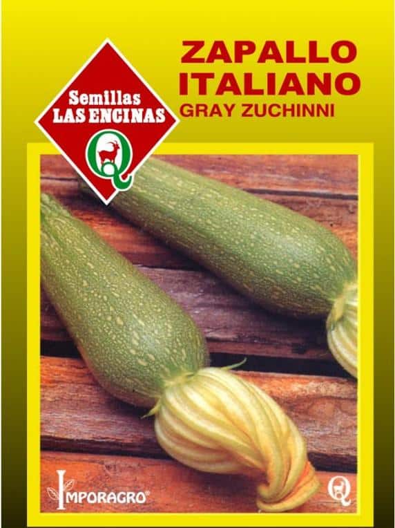 Semillas de Zapallito Italiano Grey Zucchini