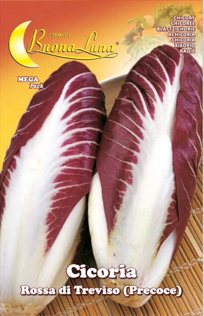 Semillas De Achicoria Roja De Treviso 2