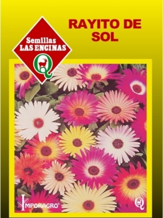 Semillas de Rayito de Sol