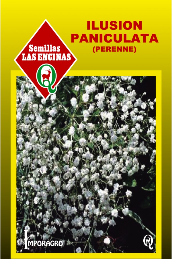 Semillas de Ilusión Paniculata