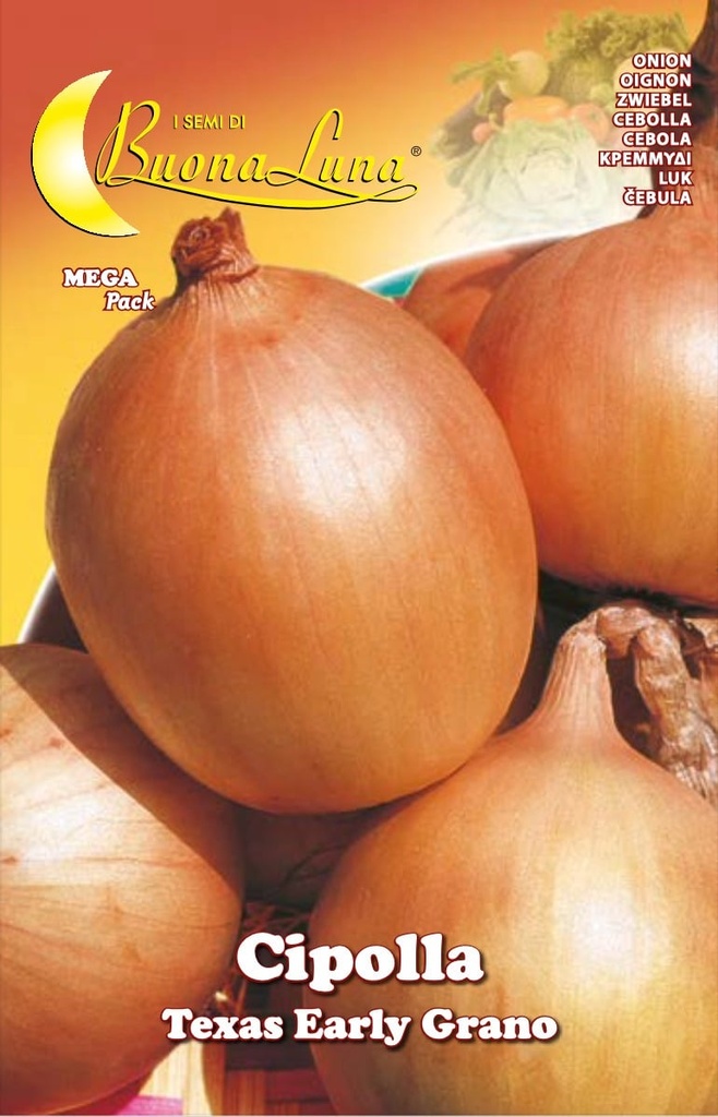 Semillas De Cebolla Texas Early Grano