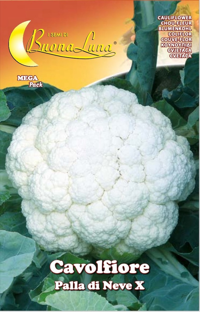 Semillas De Coliflor Bola De Nieve X