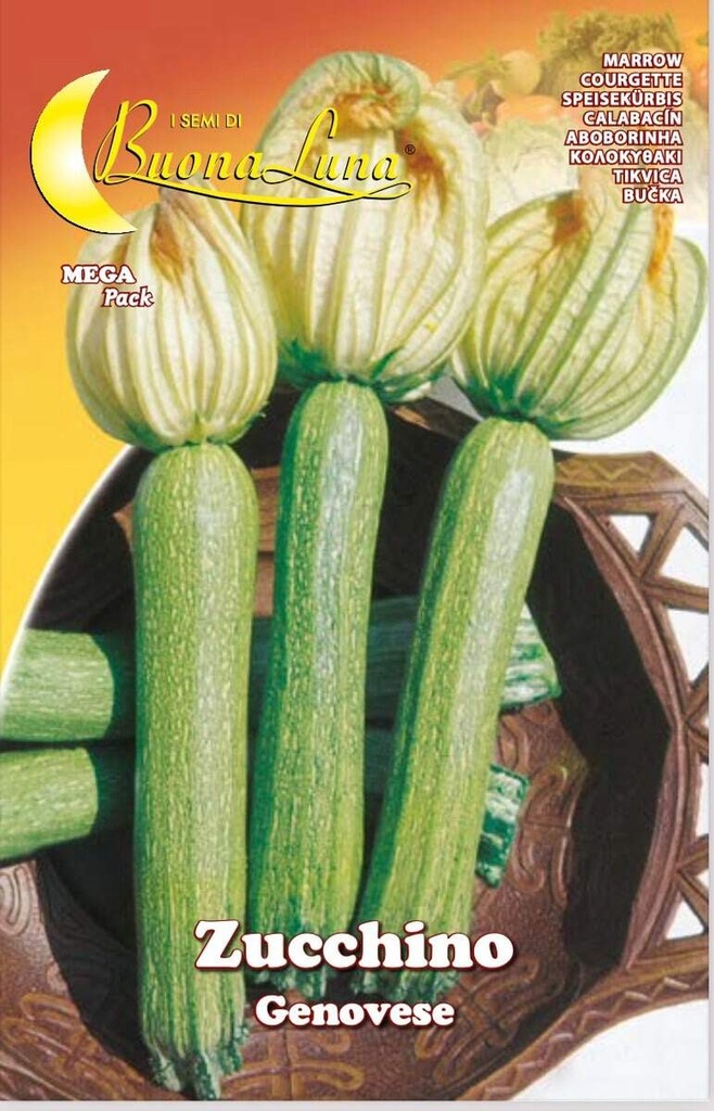 Semillas De Zapallo Genovés