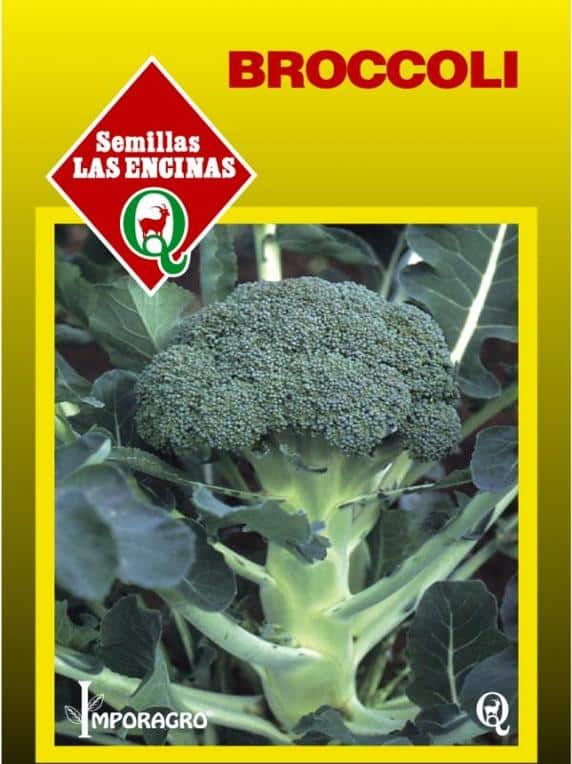 Semillas de Broccoli