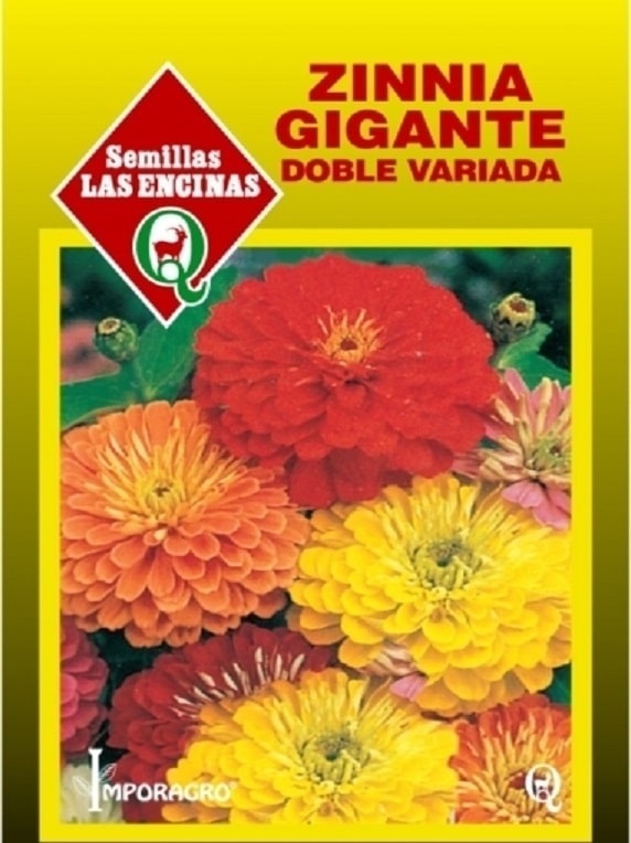 Semillas de Zinnia Gigante Doble Variada