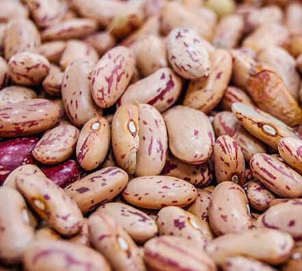 Semillas de Frejol Magnum 25 Kilos