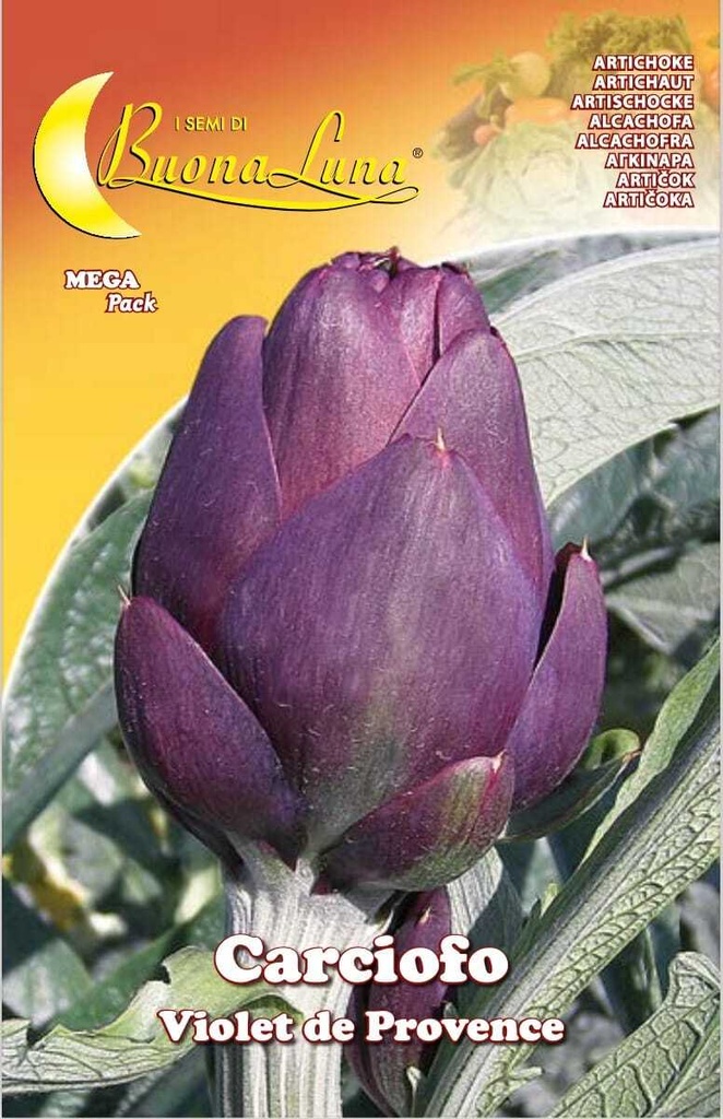 Semillas De Alcachofas Violeta De Provence