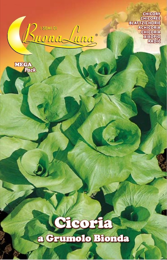 Semillas De Achicoria Grumolo Rubia