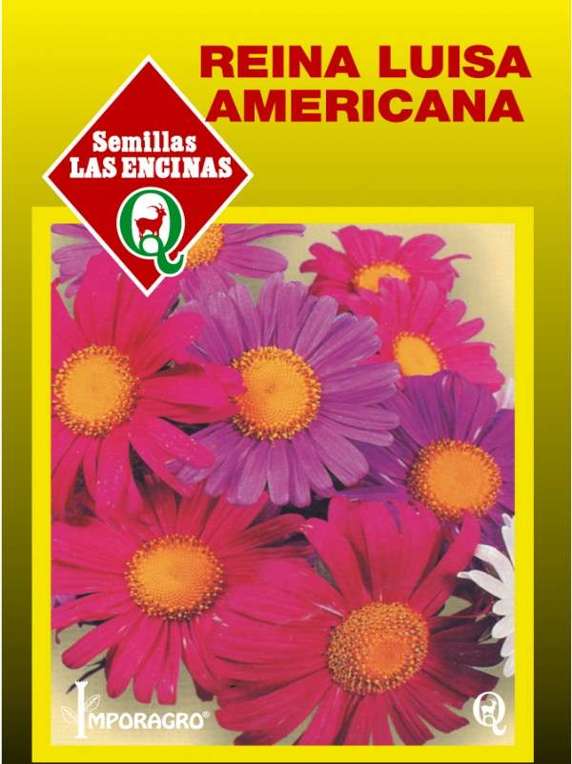 Semillas de Reina Luisa Americana