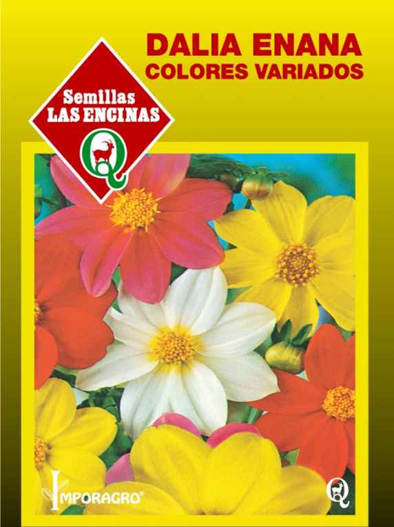 Semillas De Dalia Enana