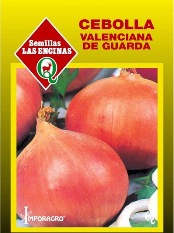 Semillas de Cebolla Valenciana 100 Grs