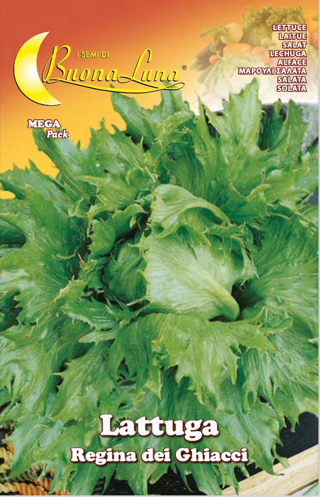 Semillas De Lechuga Reina Del Hielo