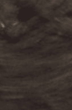 Fertineem