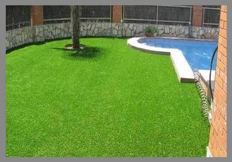 Semilla Mezcla Royal Park 10 Kilos (Muy resistente, textura fina, Verde oscuro)