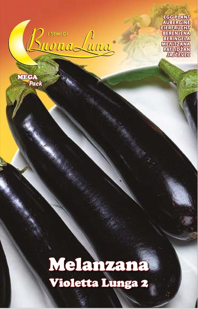 Semillas De Berenjena Violeta Larga