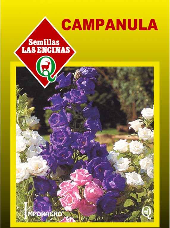 Semillas de Campanula (Farolito)
