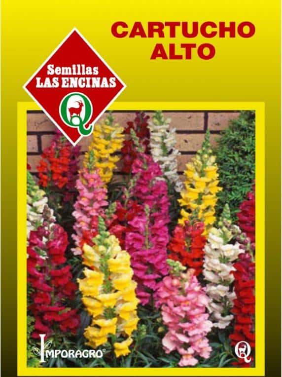 Semillas de Cartucho Alto