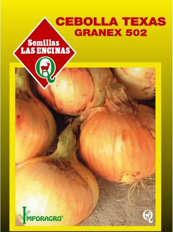 Semillas de Cebolla Texas
