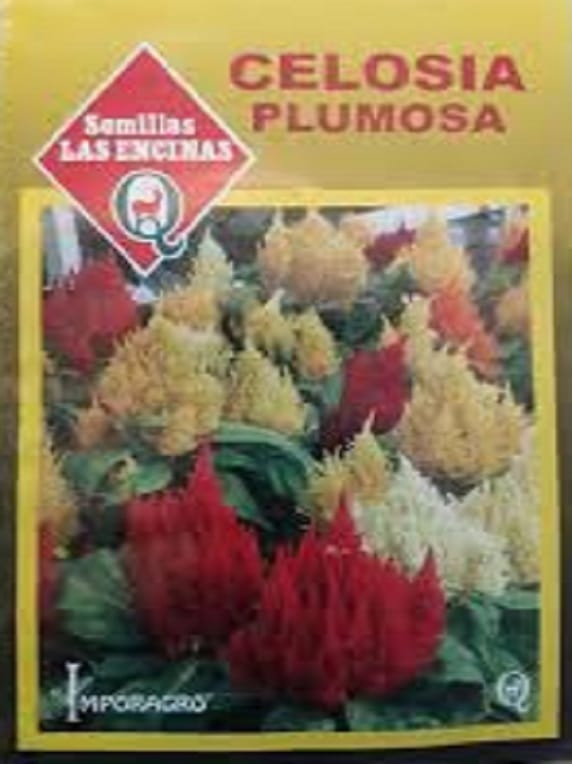 Semillas de Celosía Plumosa Enana