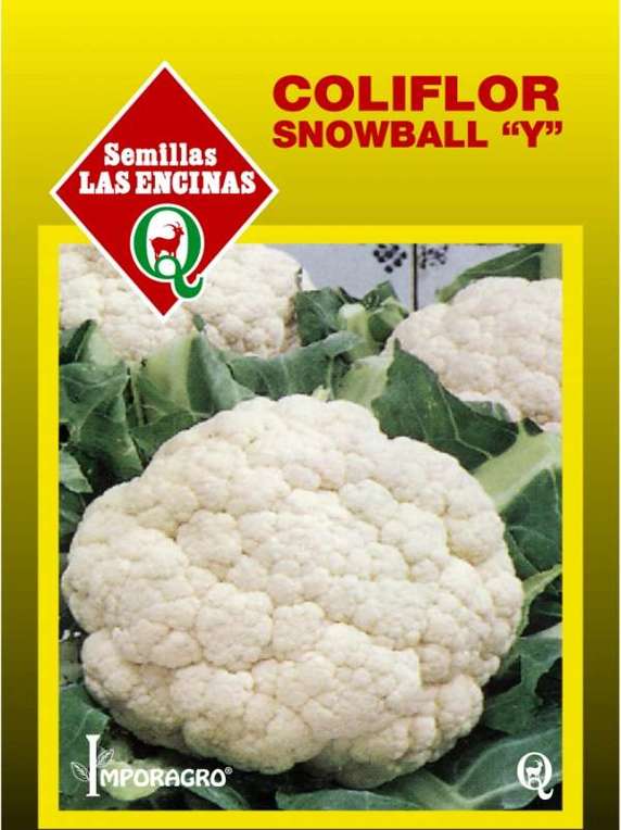 Semillas de Coliflor
